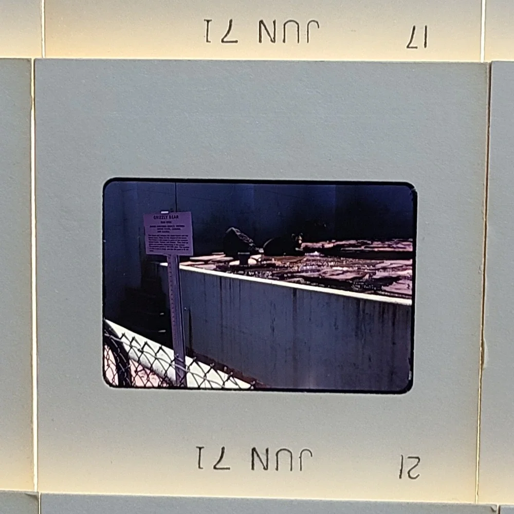 Lot Of 26 1970s New Orleans / Biloxi, MS 35mm Film Slides‎ Sightseeing Tourist